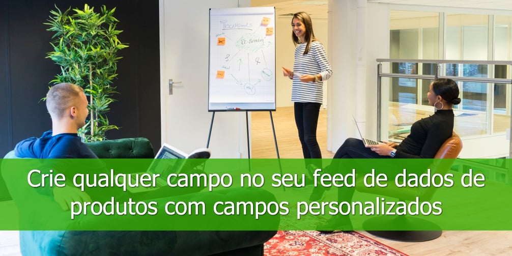 Crie-qualquer-campo-no-seu-feed-de-dados de-produtos-com-campos-personalizados