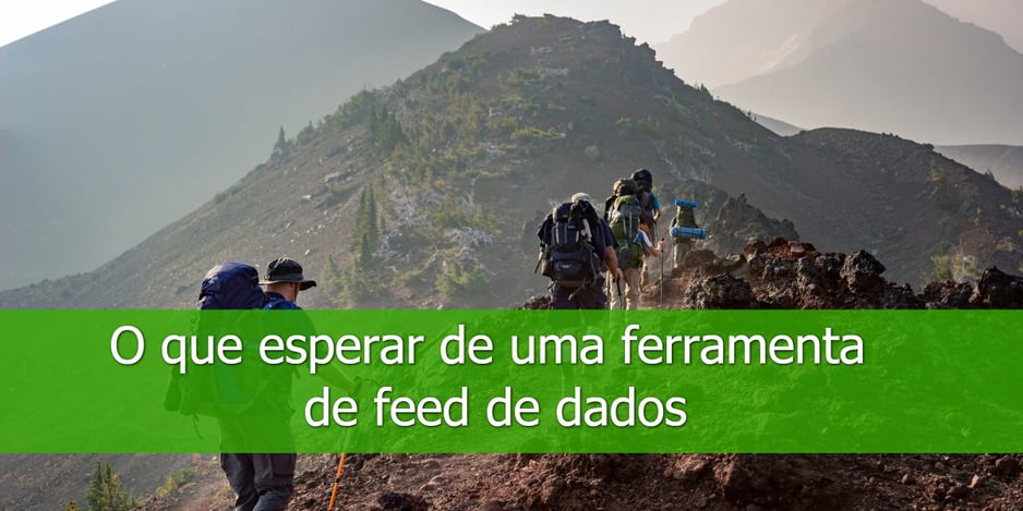 O-que-esperar-de-uma-ferramenta-de-feed-de-dados